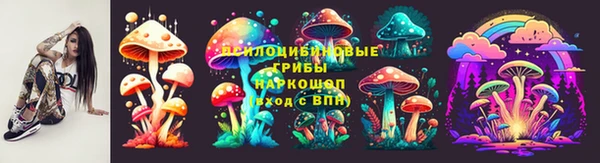 мяу мяу мука Беломорск