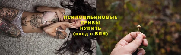 соль ск Белокуриха