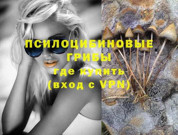 соль ск Белокуриха